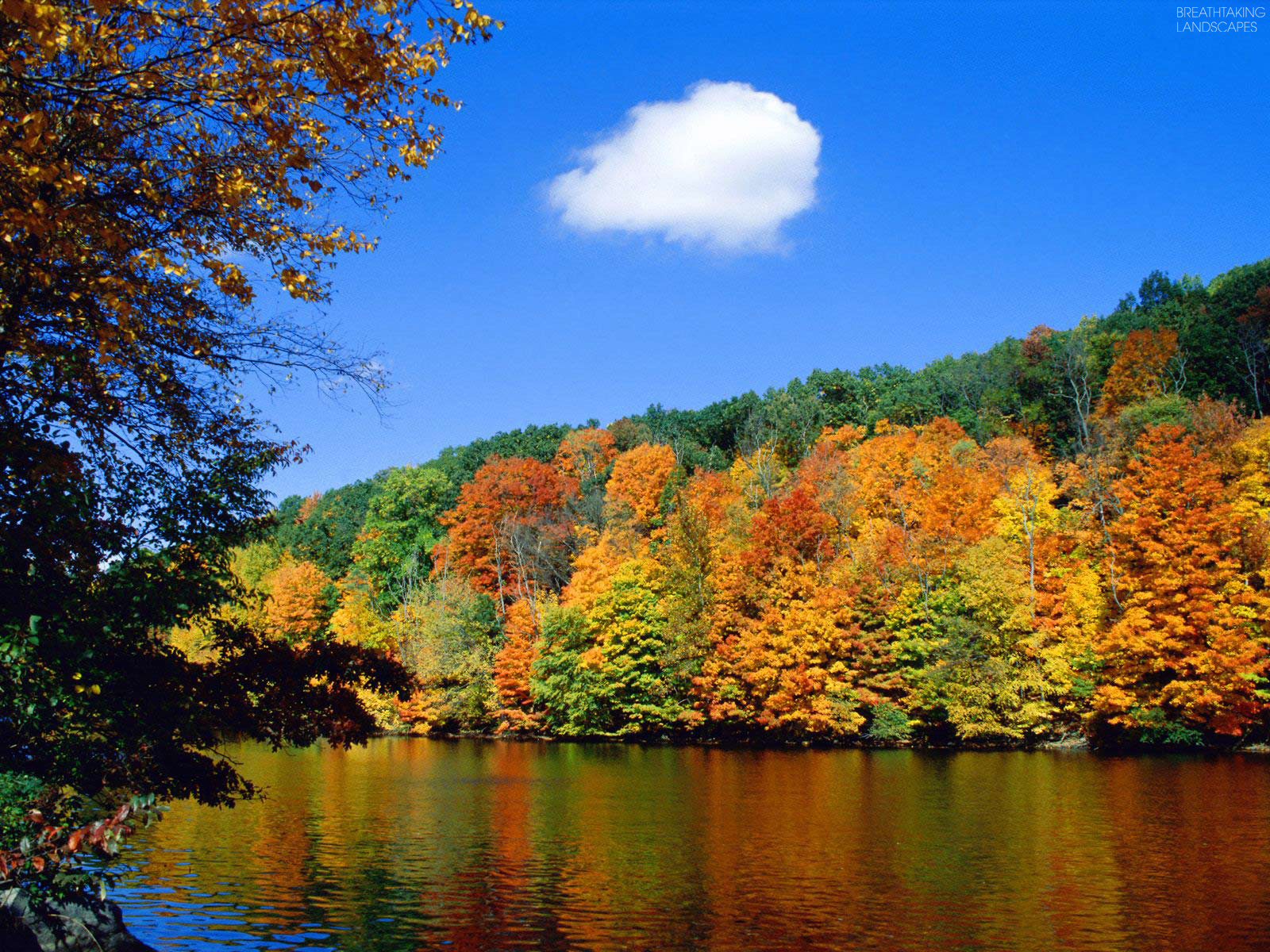 Beautiful Fall Nature