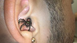 spider inwards ear
