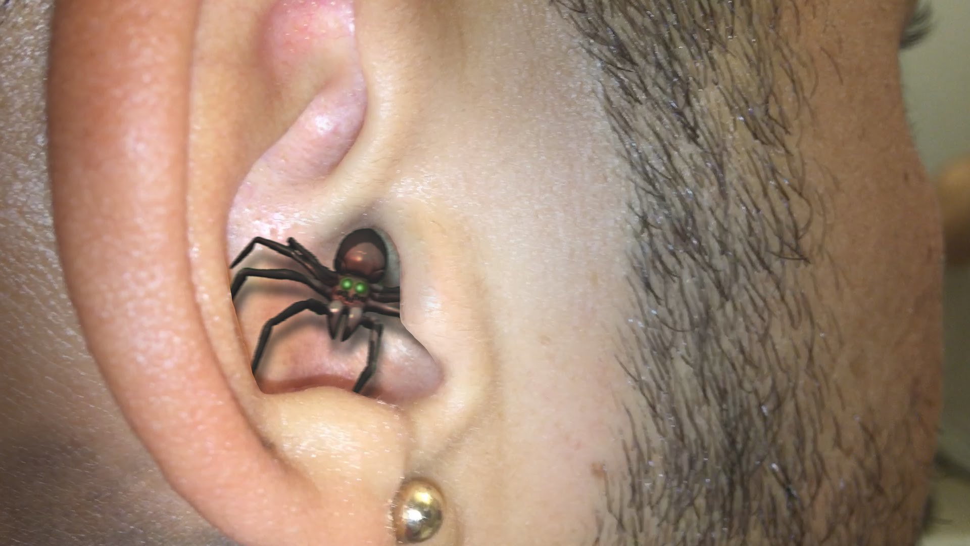 Spider Inside Ear