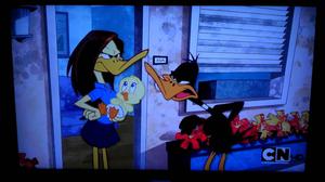 daffy and tina russo duck