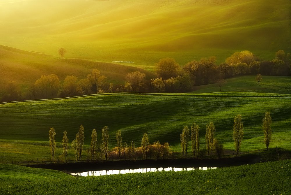 Amazing Green Landscape