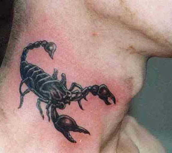 Scorpion Neck Tattoo Designs