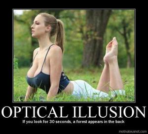orb optical illusion