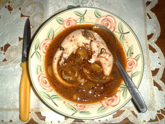 Pangolin Fetus Soup