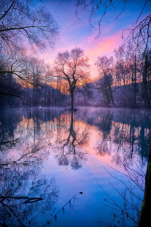 Beautiful Nature Photography Winter