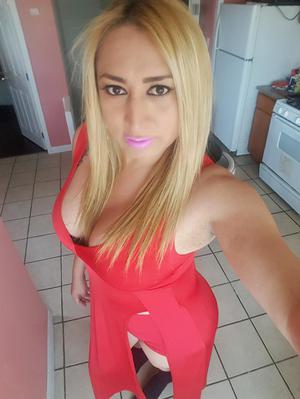latin chick transsexual back page