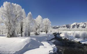 gorgeous nature winter desktop backgrounds